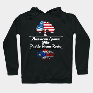 American grown with Puerto Rican Roots Hoodie